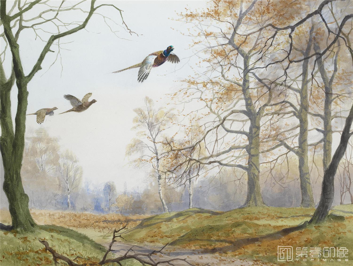 油画-约翰.赛里尔·哈里森 John Harrison作品集-129